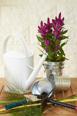 vase of flowers with modern accessories on the wood table