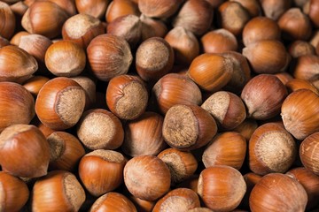 A pile of shelled hazelnuts. Macro shot.