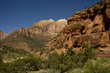 Fototapeta premium Zion, rocky mountains with trees growing out of the rocks