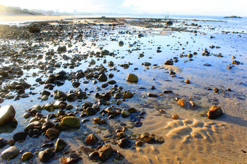 a rocky background of an ocean scene
