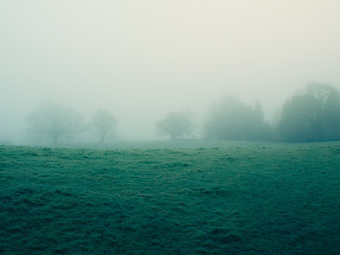 foggy countryside in Northern Ireland