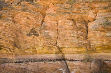 Zion, rocky mountains with trees growing out of the rocks