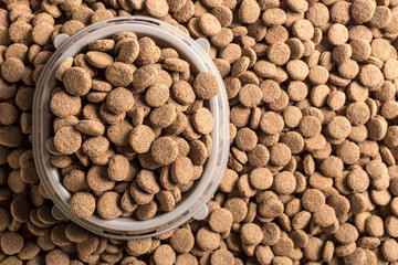 Dried dog food background