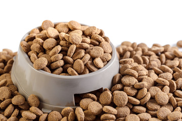 dry dog food isolated on white background