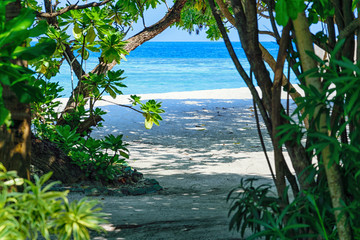 Exploring the Island in Paradise