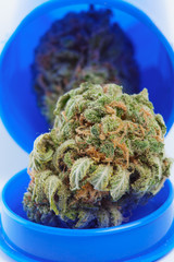 Close up of Charlie Sheen medical marijuana buds