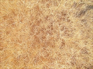 Wide Fibrous  Background