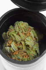 Close up of Charlie Sheen medical marijuana buds