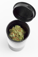 Close up of Charlie Sheen medical marijuana buds