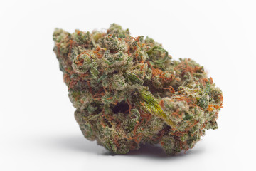 Close up of Jack Herrer medical marijuana buds