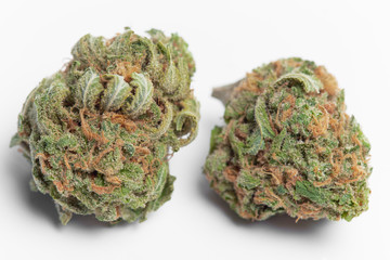 Close up of Charlie Sheen medical marijuana buds