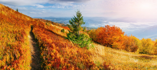 Fototapeta premium rock massif in the Carpathians.