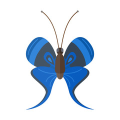 Colorful butterfly vector illustration.