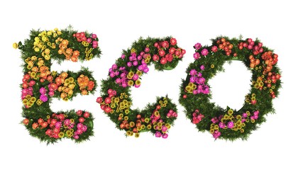 ECO - Blumenwiese - isoliert