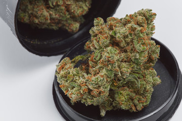 Close up of Jack Herrer medical marijuana buds