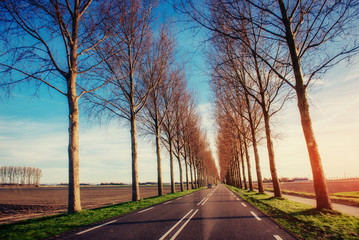 Asphalt road is lit at sunset.
