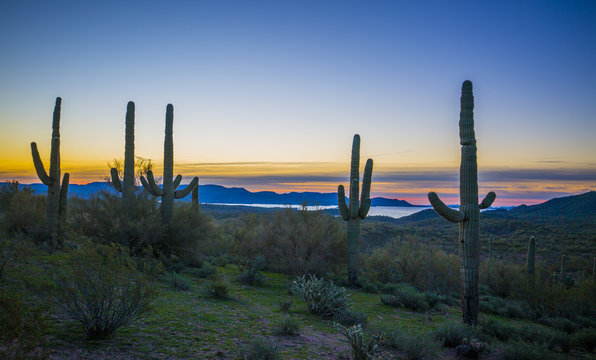 Arizona Desert Sunrise © Kevin Lohenry