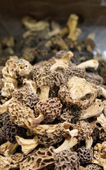 Fine cuisine, Morchella esculenta