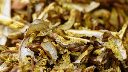 dry mushroom boletus edulis