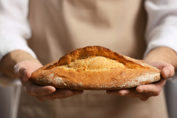 Male hands holding freshly baked rye bread, closeup