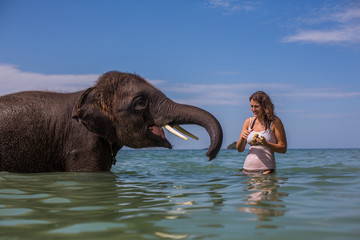 Girl swims with the elephant