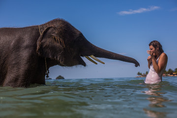 Girl swims with the elephant