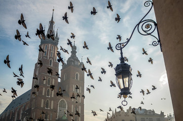Fototapeta Church on Krakow's market square with birds, Poland obraz