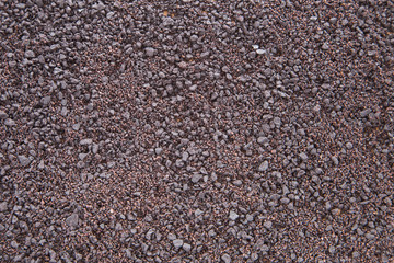 Amazonian acai fruit powder (Euterpe oleracea)