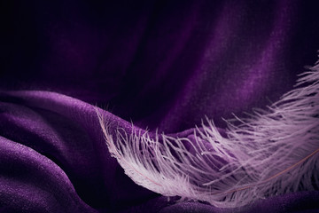 Wave of elegant violet textile texture with fine pink feather.
