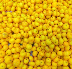 Oranges in the market