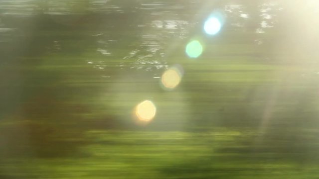 Window View from Car, Bus, Train - No 115 - from train, fast with trees, with flares