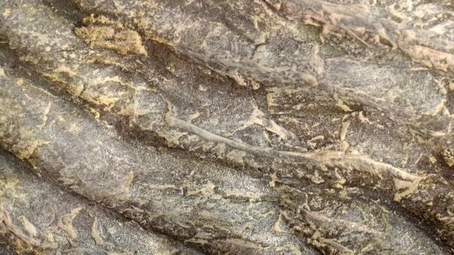 Ocean rock ripple marks close up