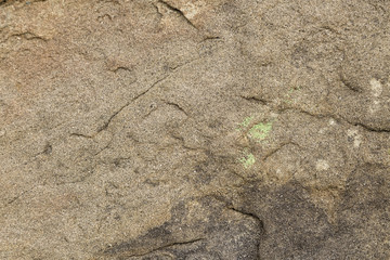The Rock's Textures