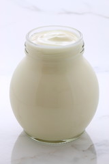 plain french style yogurt