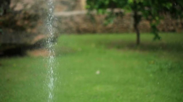 Sprinkler in the beautiful garden