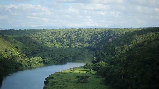 Beautiful river in tropical forest top view