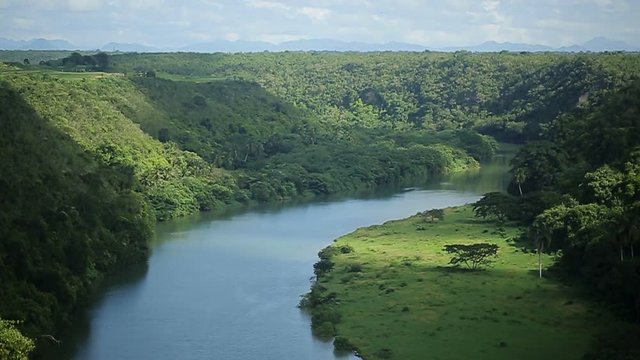 Beautiful river in tropical forest top view