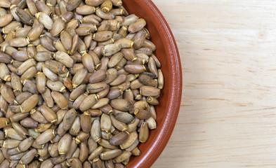 Top close view of dried organic milk thistle seeds in a small bowl on a wood table.
