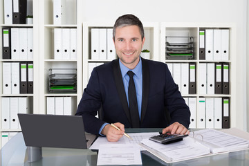 Accountant Calculating Financial Data