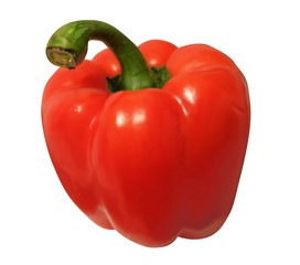 Paprika