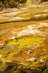 Wai-o-tapu geothermal area, Rotorua, New Zealand