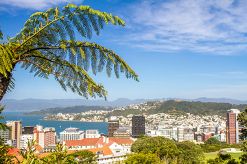 wellington cable car, new zealand © Alena Yakusheva
