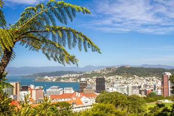 wellington cable car, new zealand © Alena Yakusheva