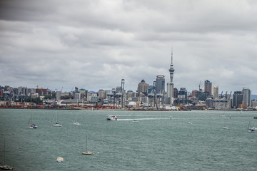 Fototapeta premium auckland city view from devonport