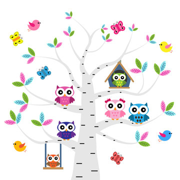 Vector set of a colorful owls at the birch tree