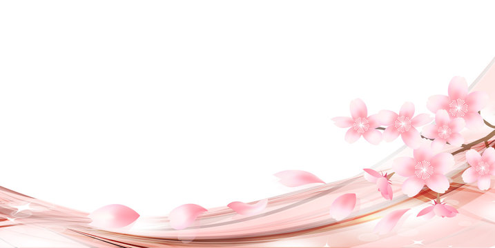 桜　春　花　背景