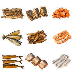 set of a different preserved fish