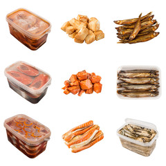 set of a different preserved fish