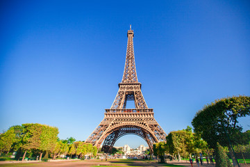 Fototapeta premium Beautiful view of Eiffel Tower in Paris