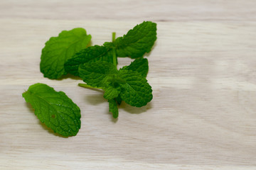 Green fresh mint leaf on the wooden table